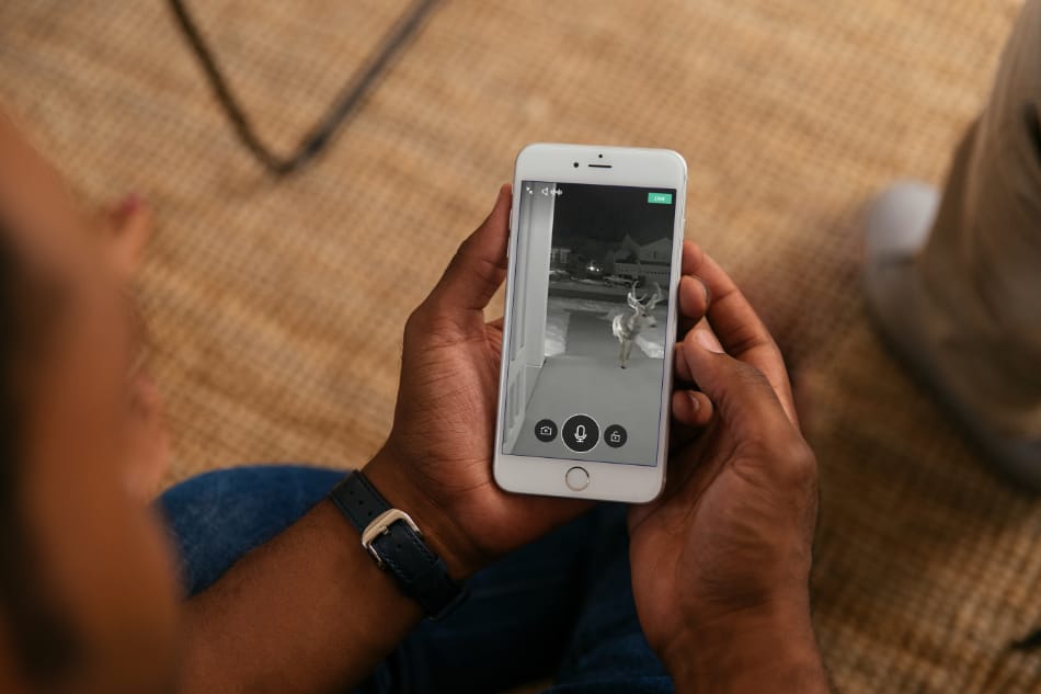 Covington VA security system